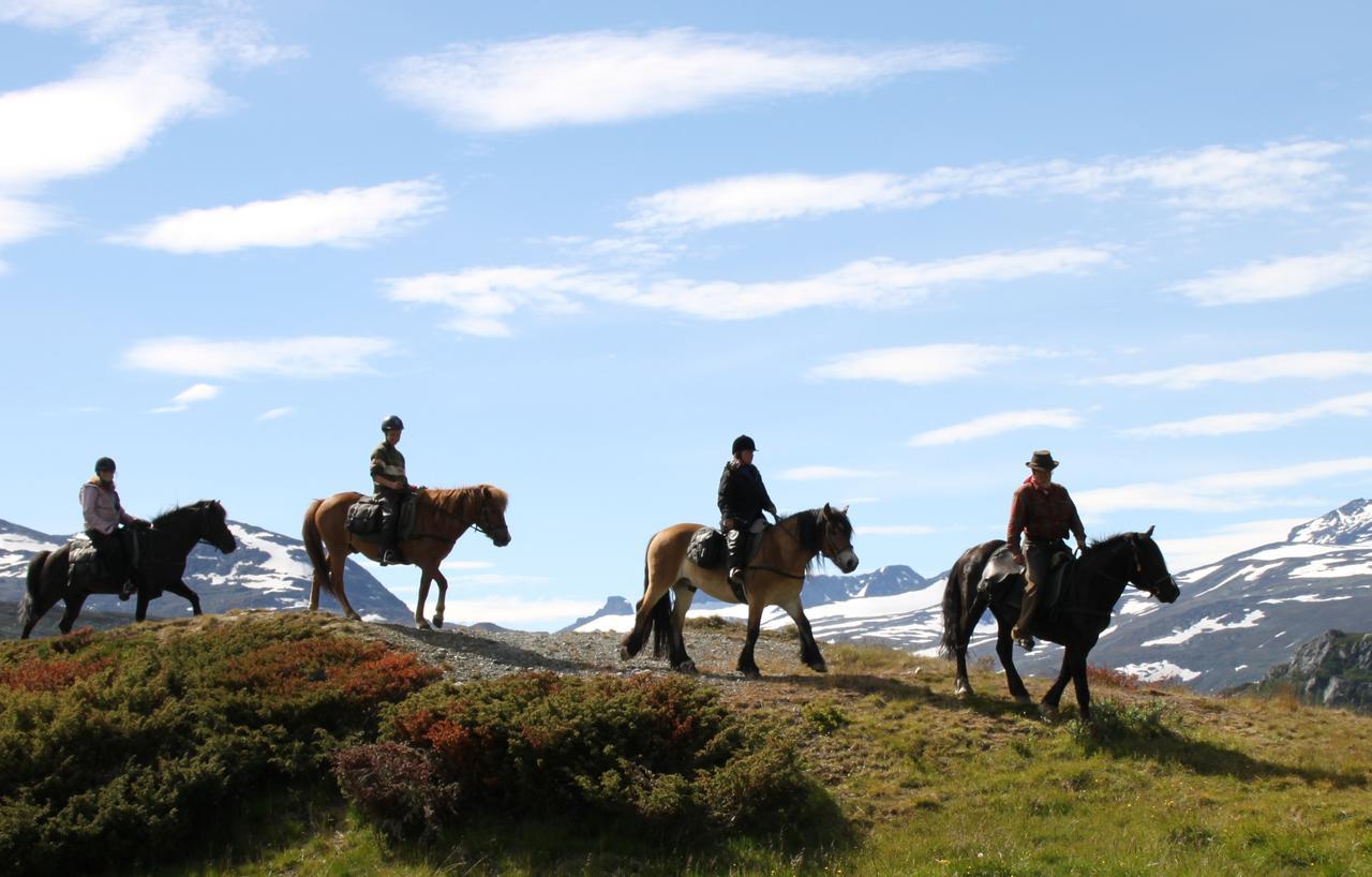 Bygdin Hoyfjellshotell Beitostolen Экстерьер фото